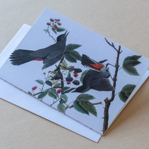 Greeting Card – Birds Grey Red 17