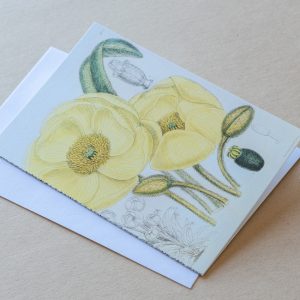 Greeting Card – Poppies Yellow 17